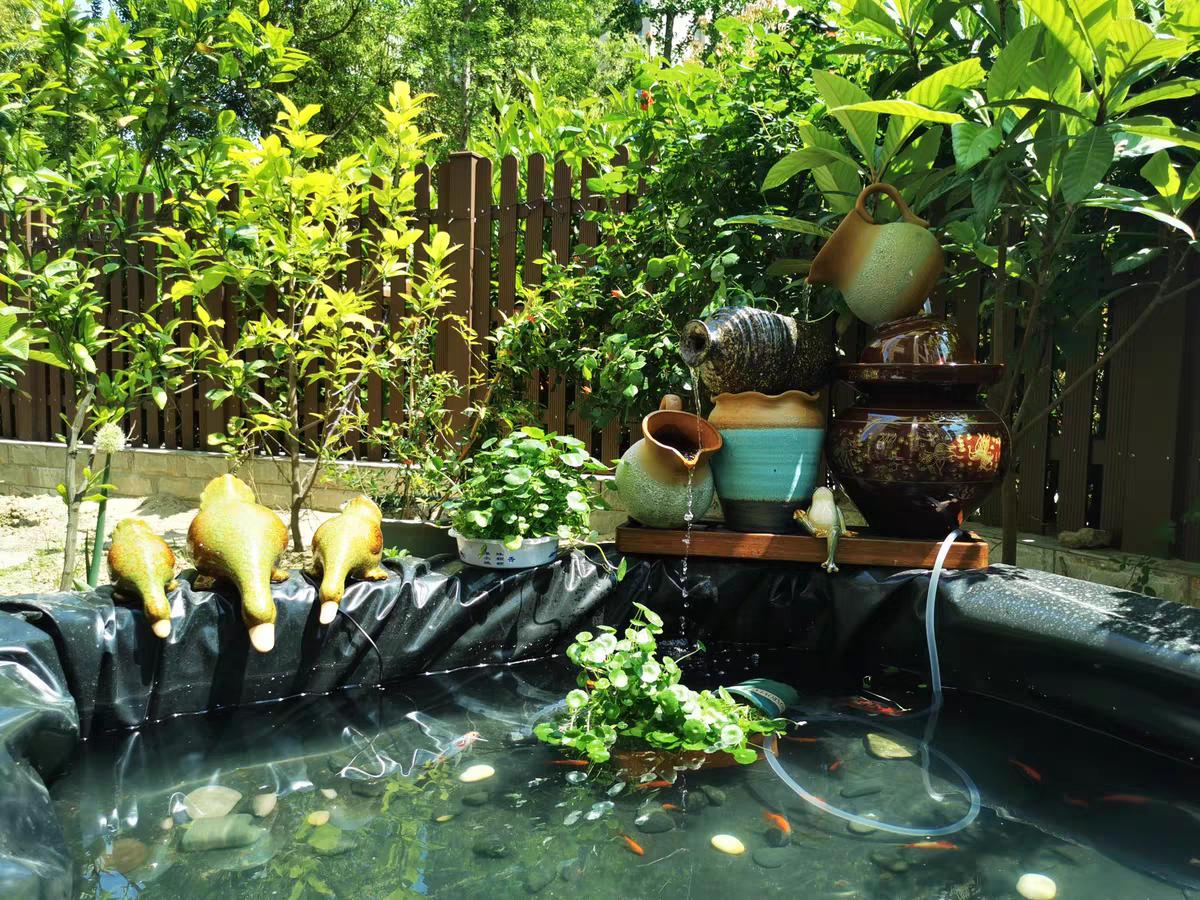 1米5深自建鱼池教程,自建鱼池的水怎么样才能清澈