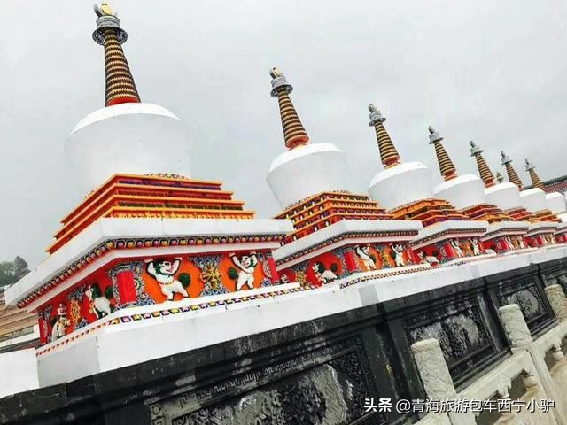 青甘深度大环线,青甘深度八日游