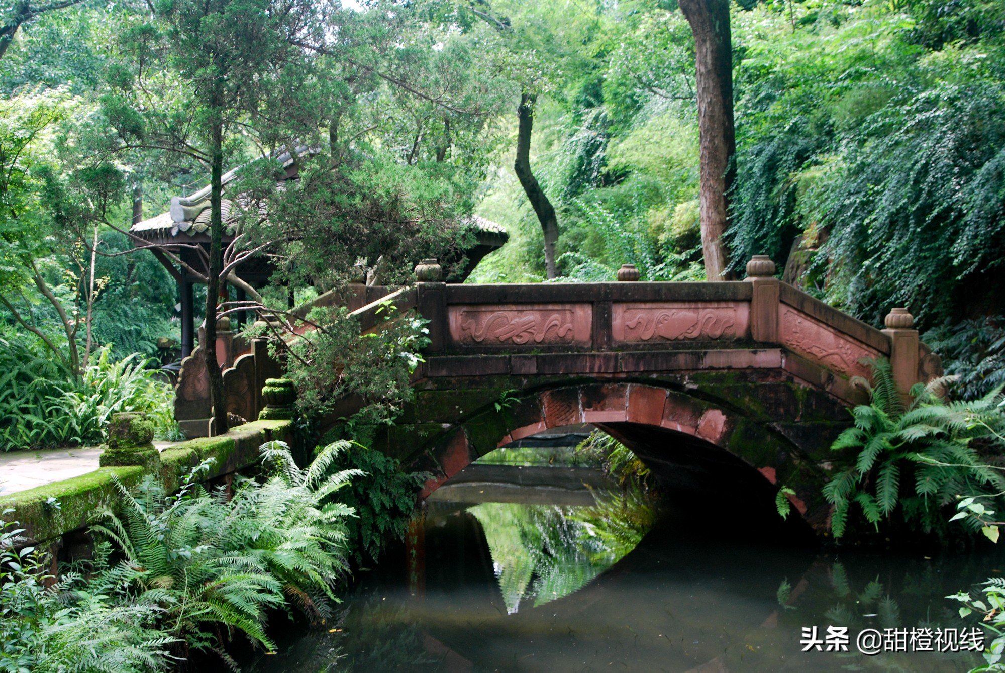 四川眉山的三苏祠,眉山三苏祠有什么故事