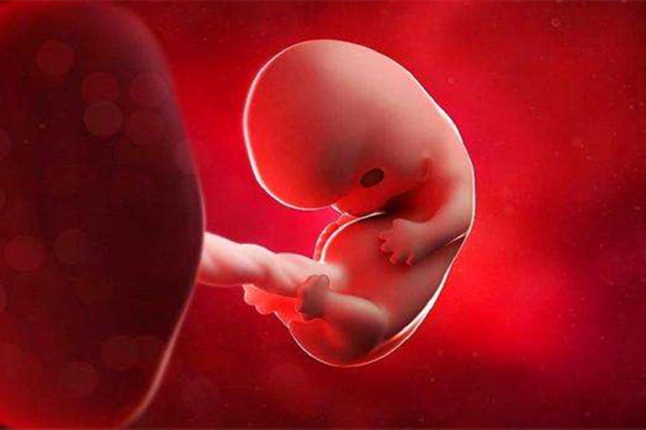 吃药期间怀的小孩一定会有问题吗,吃了药孩子就不能要吗