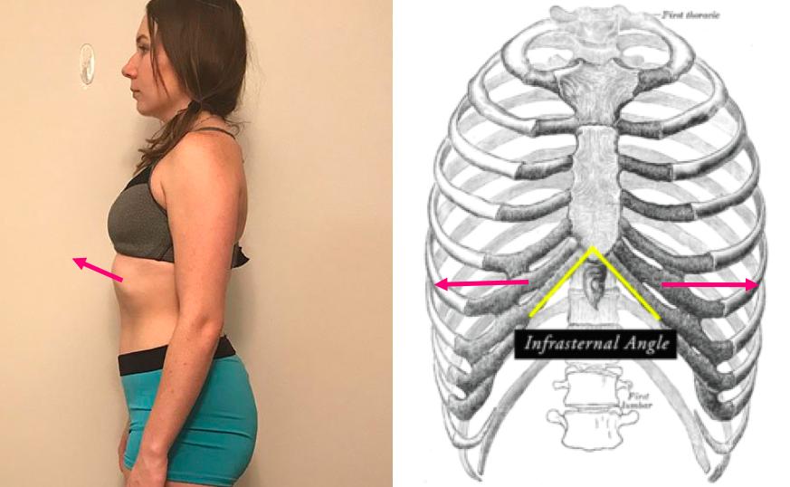 怎么不露肚子还能显好身材,h型身材肚子大怎么减