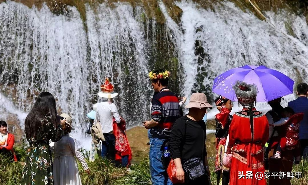 等你！初春九龙瀑布灵动秀美、温婉可亲！