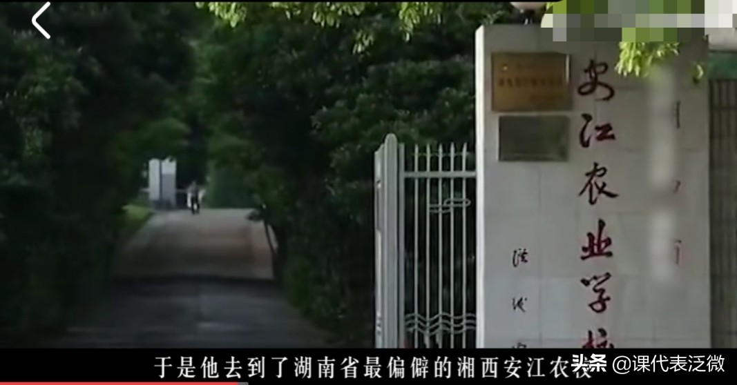 你不知道的袁隆平：浪里白条、预备飞行员、油炸鬼、臭水沟捞宝贝