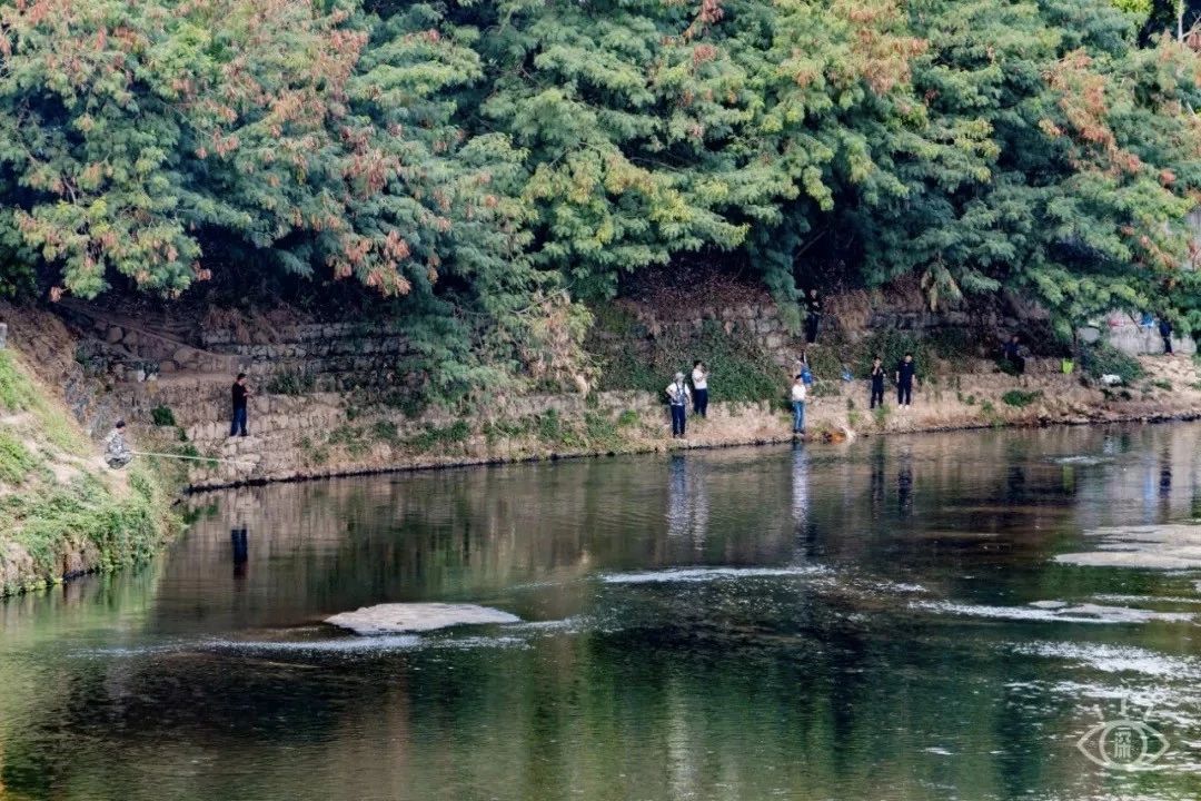 深圳最适合亲子游的好去处,深圳周末家庭游玩好去处