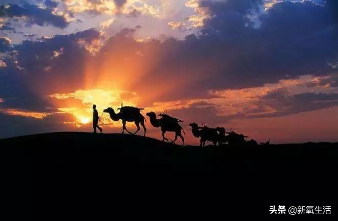 足不出户全方位了解丝路，你只差这个资料库了