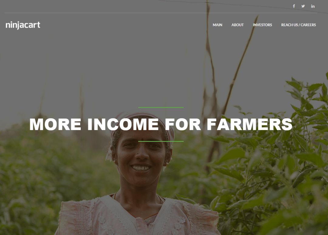 极品两声ok.vip和zb.vip超百万成交!英文米Zoom.com被终端收购!