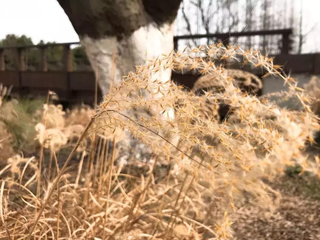 无锡遛娃户外免费,无锡惠山区遛娃好去处