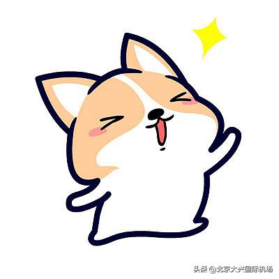 北京大兴机场餐饮店,大兴机场有餐饮吗