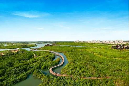 海南自驾西线旅游美食,海南环岛自驾游美食攻略详细行程
