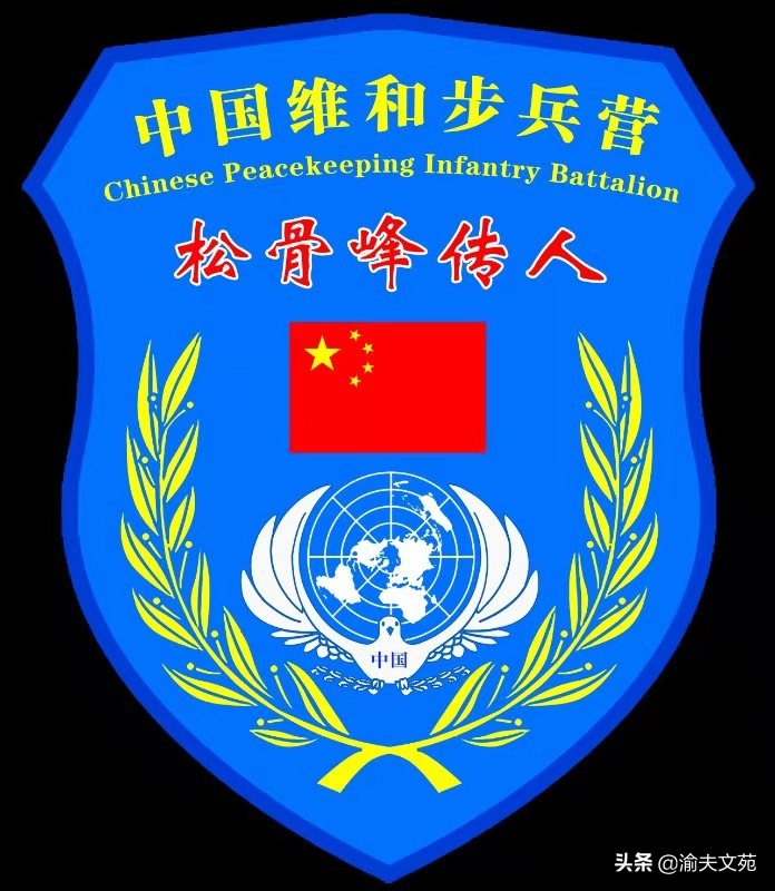 中国军人维和日记,维和日记中文版