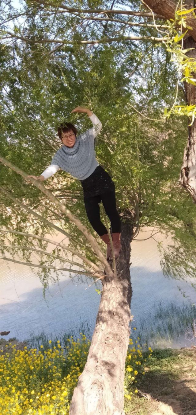 七律春日感怀的诗词,七律春日寻春诗词