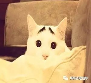 72岁老人腰疼还有骨刺该怎么治疗,老年人骨刺疼痛怎么治疗