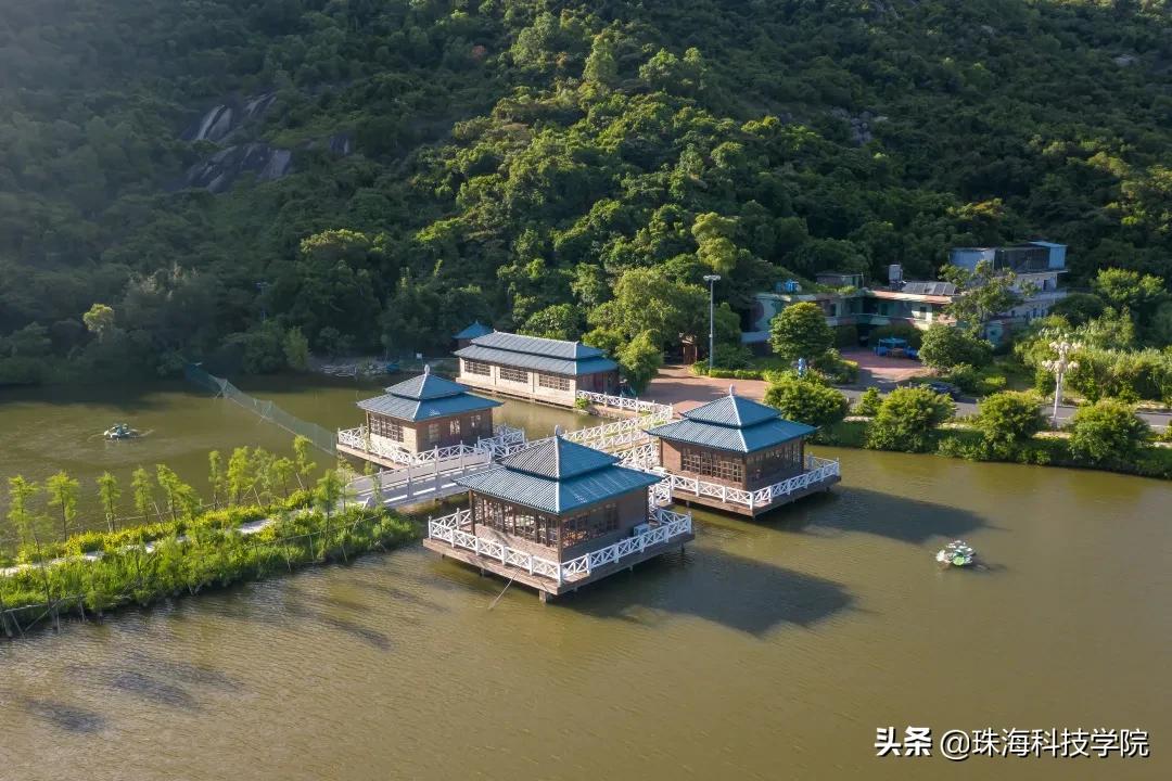 读一所校园环境和学习氛围全方位一流的大学是什么体验？