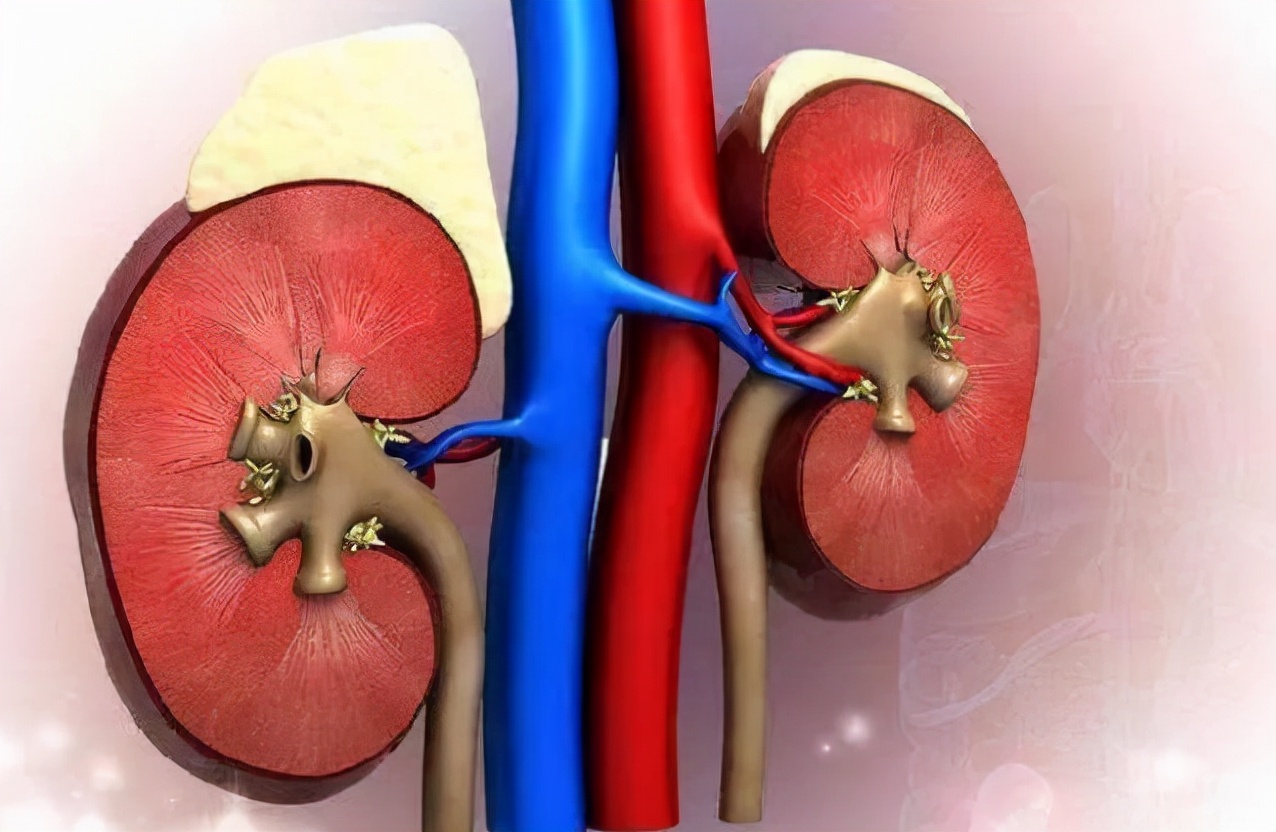 28岁青岛小伙,每天服用“六味地黄丸”补肾,身体出现了哪些变化