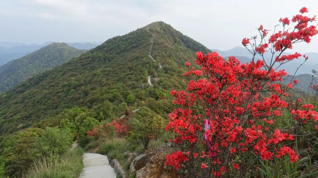 九九重阳望故乡,南昆山秋色