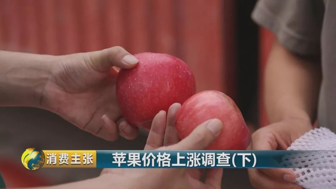 走访终端市场要了解哪些,全国苹果产区最新信息