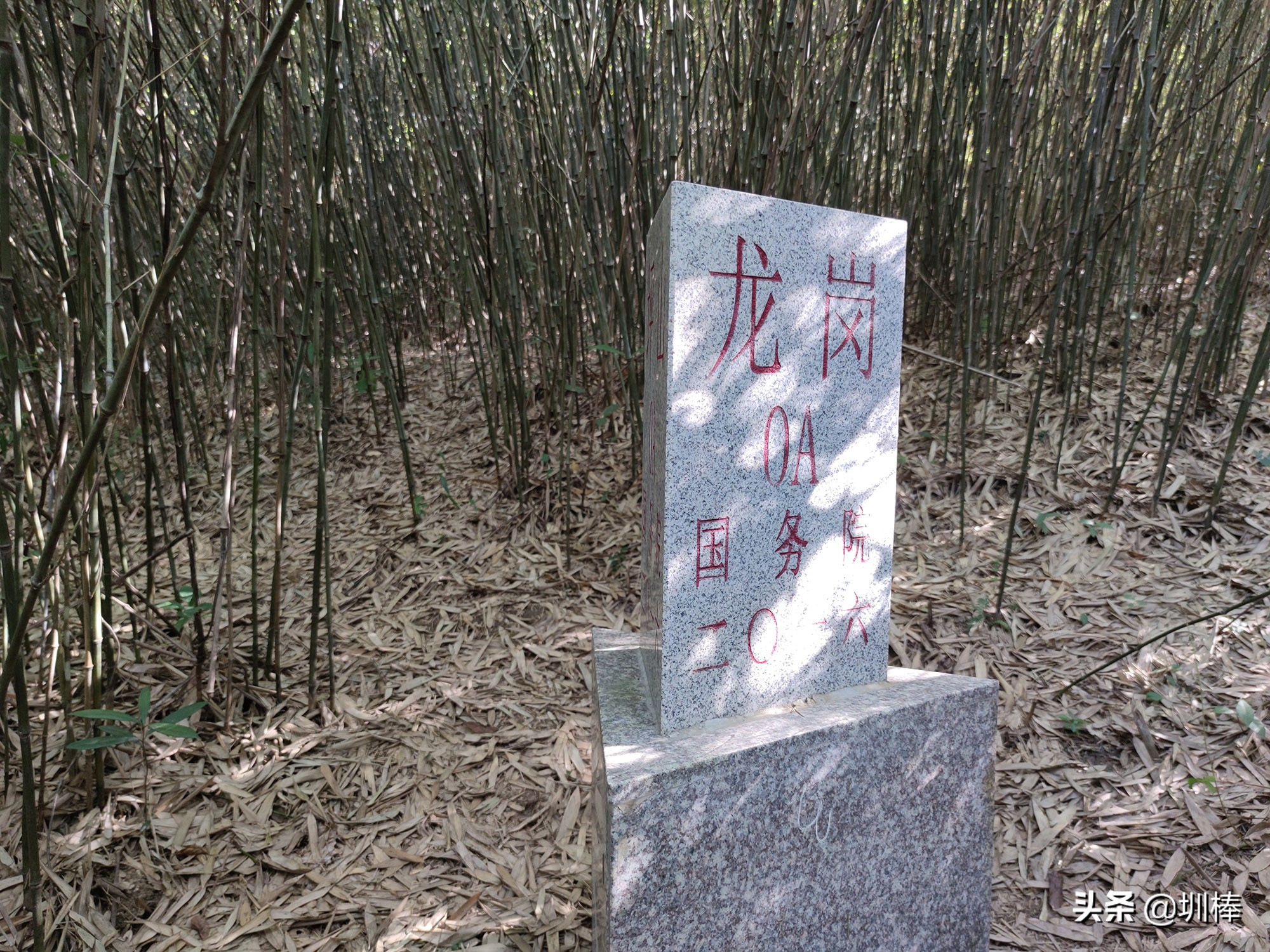 爬深圳山,爬深圳莲花山公园