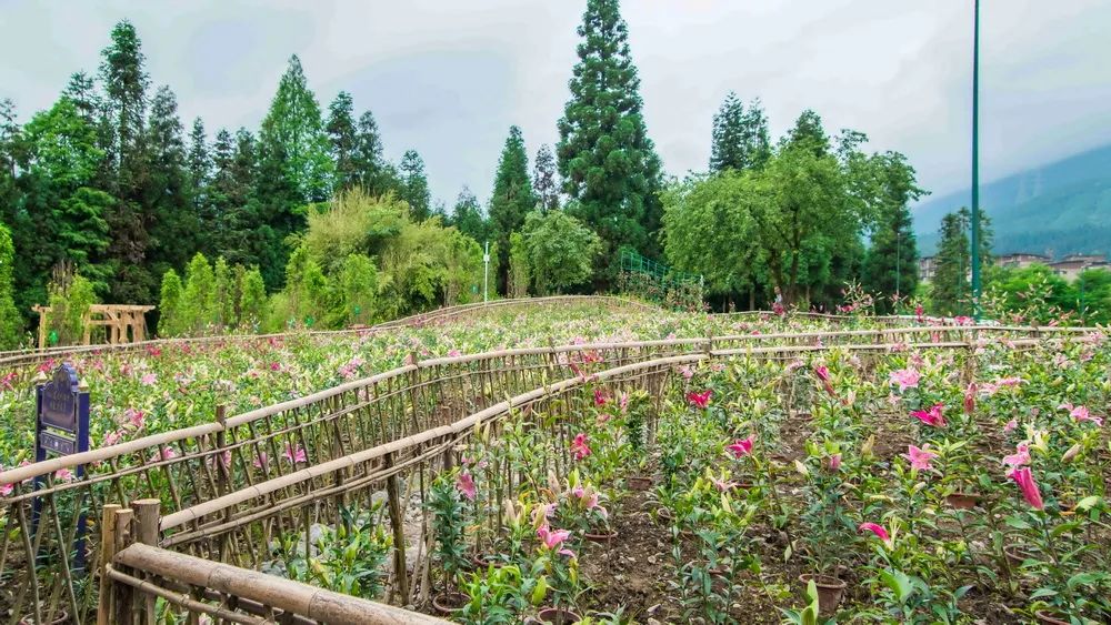 四川绝美风景酒店,四川旅游十大必去酒店推荐