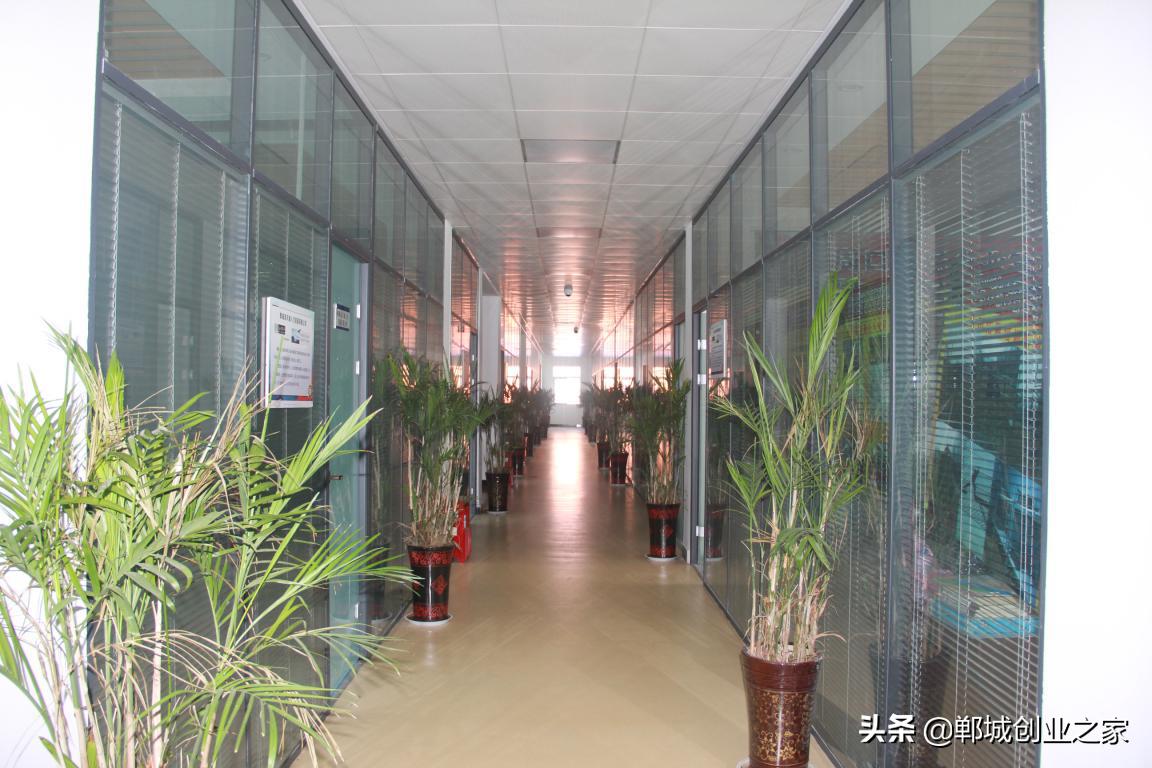 郸城创业服务,郸城创业服务中心附近哪里有房子