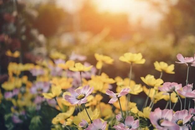 安家房似锦被父母拖累的人生,在原生家庭受伤的人该如何救赎