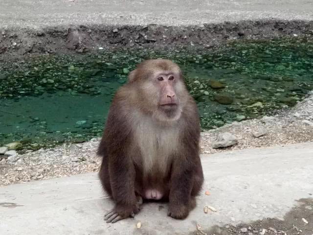 卧龙谷银厂沟,银厂沟两山合拢现状