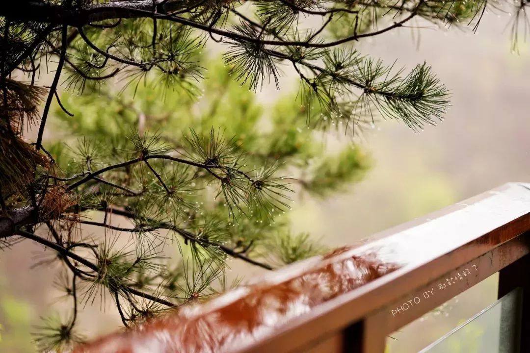 北京京郊童话树屋,台湾神奇的树屋