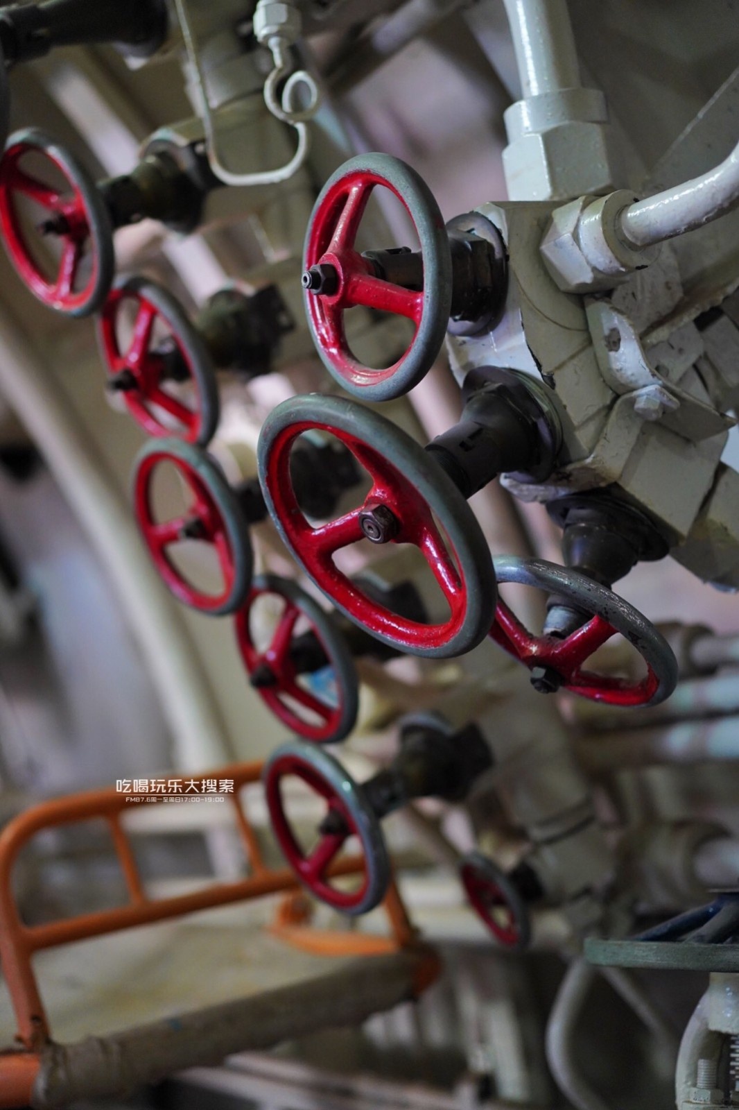 遇上浓浓的大连海蛎子味,青岛海蛎子旅游攻略