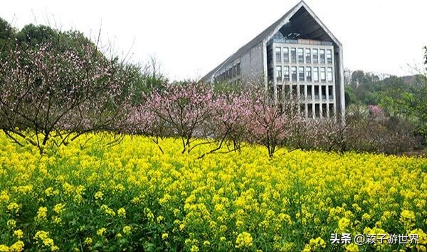 青春无悔在最美好的时光遇见“川美”，不知是否对的人在等着你