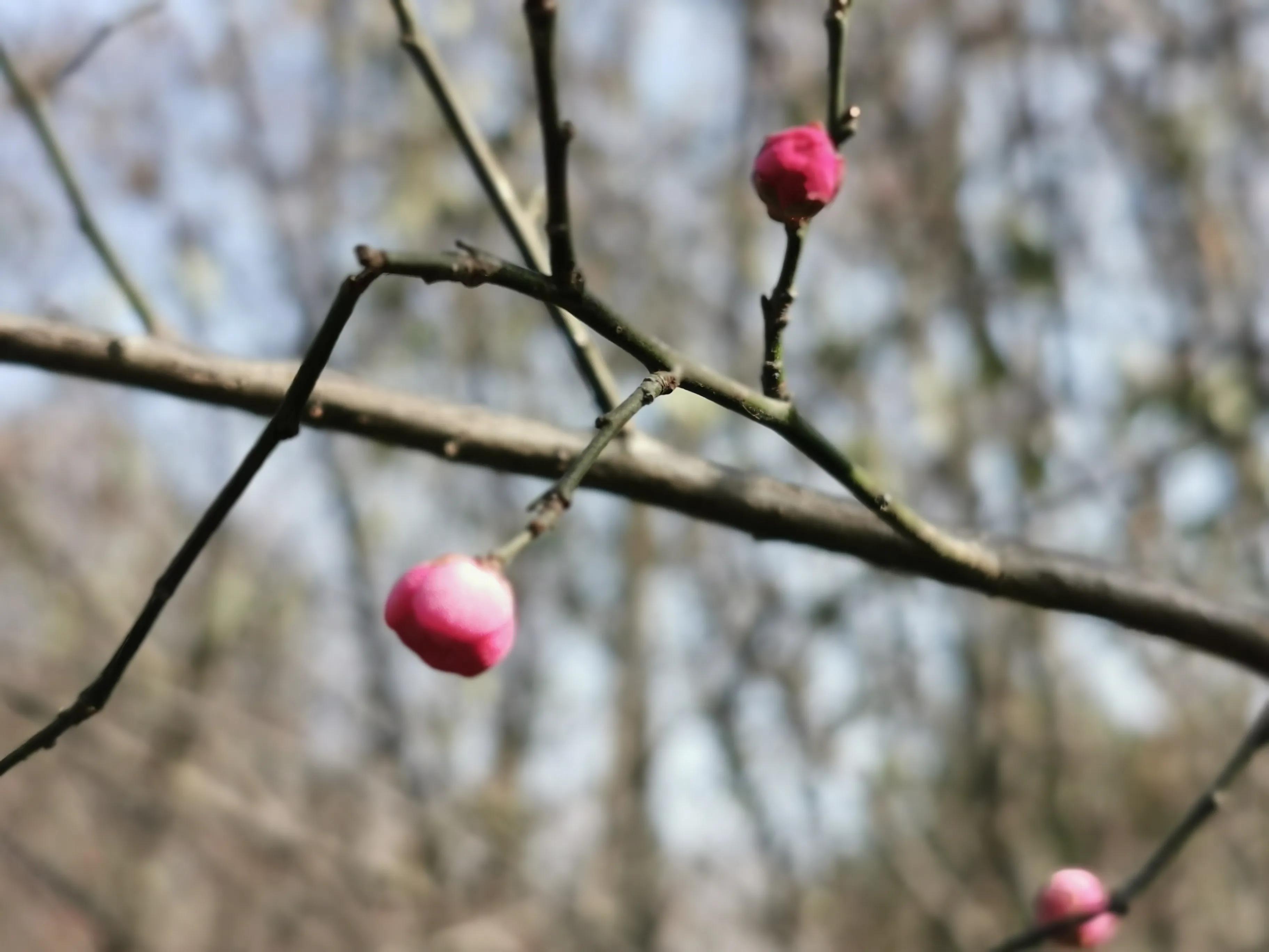 喜欢，妈妈为你唱歌时找不到调的跑调（我思）