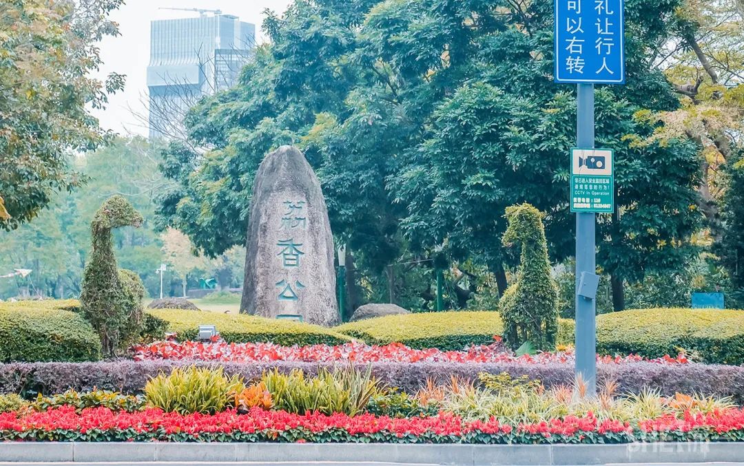 疫情期间免费开放的公园,疫情期间开放的公园有哪些