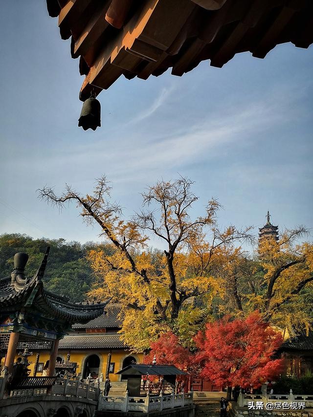 这枚“小品圣手”+吃货,从镇江飘然而过