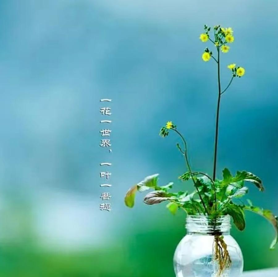 一花一世界   君子独芬芳——二年级古诗《梅花》品读