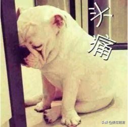 湖北襄阳说什么方言,湖北各地说什么话