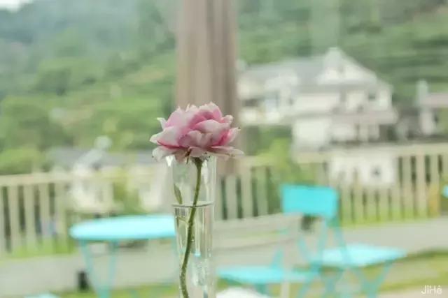 一家三口春节7天旅游民宿,春节去哪里民宿玩推荐一下