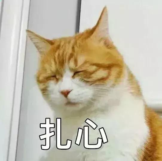 2022常熟离婚率,扎心离婚视频