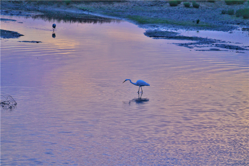 河北最宜居的城市有哪几个,河北最宜居的城市是哪个