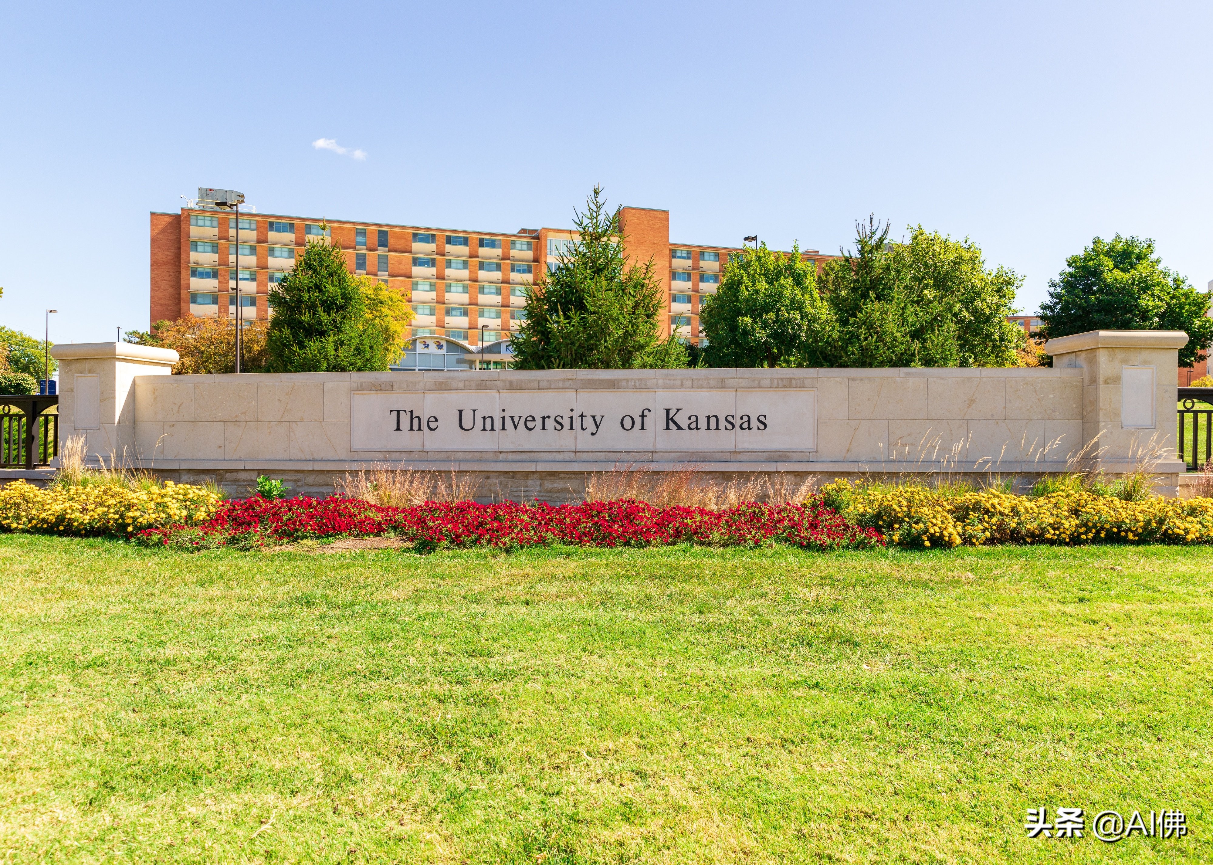 美国东部公立大学排行榜,美国各州最好的公立大学