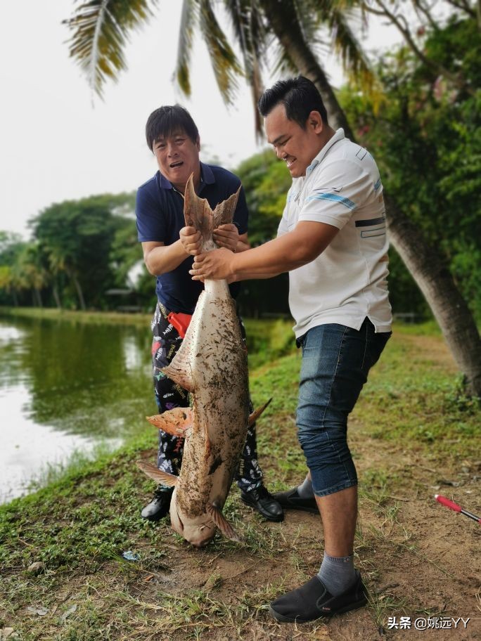 四海钓鱼韩国钓鱼纪录片,四海钓鱼南澳岛