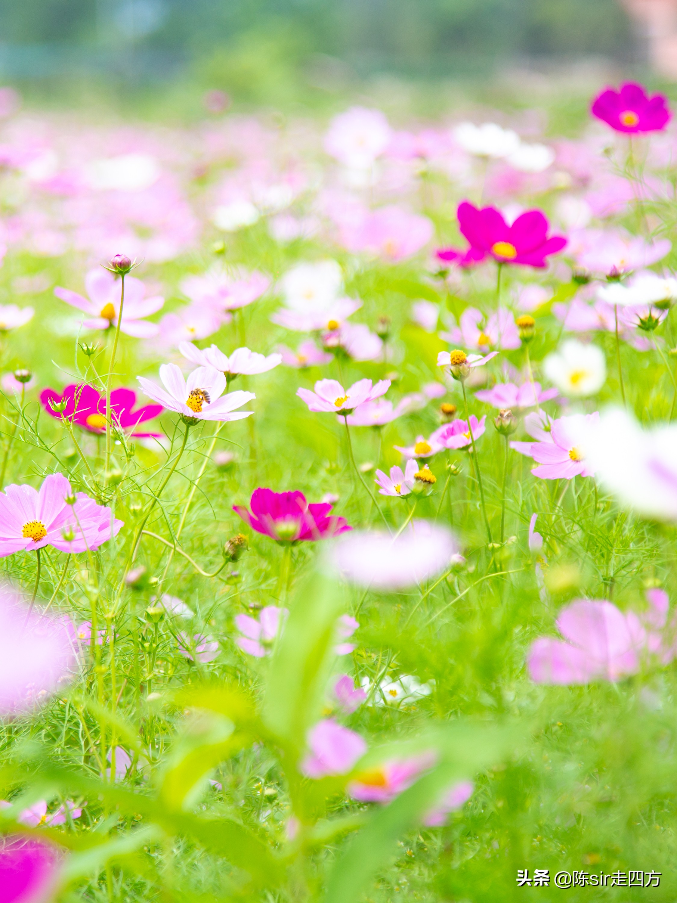 重庆到桐梓自驾游攻略路线,重庆到贵州桐梓三日游最佳路线图