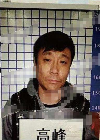 那英和高峰为啥分手,那英前任高峰近况