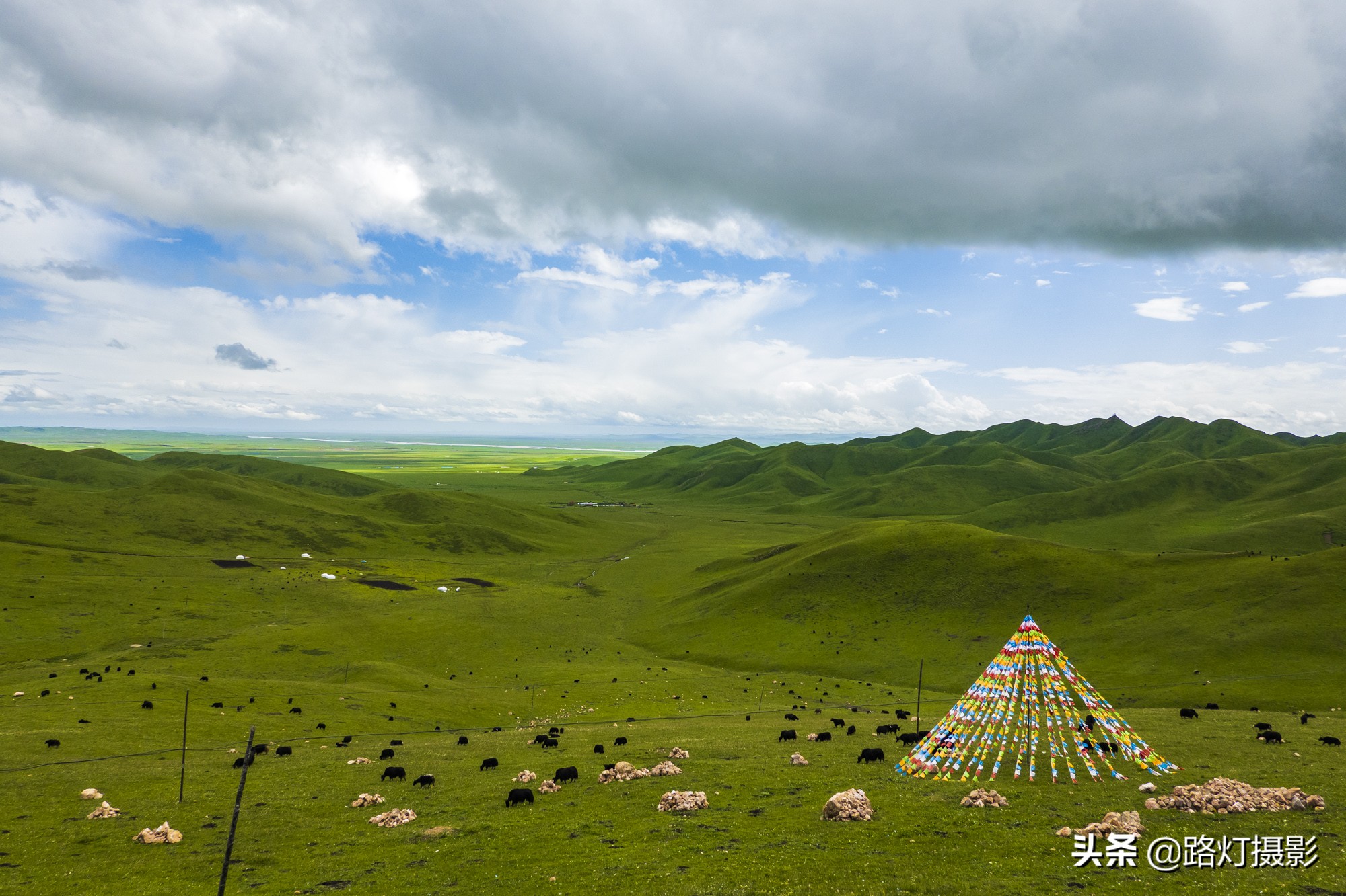 惊艳！八月最佳旅行地，“绝色甘南”美成仙境，所有景区免门票