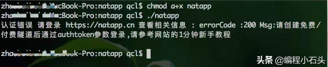 内网穿透服务器搭建教程,低成本搭建内网穿透服务器