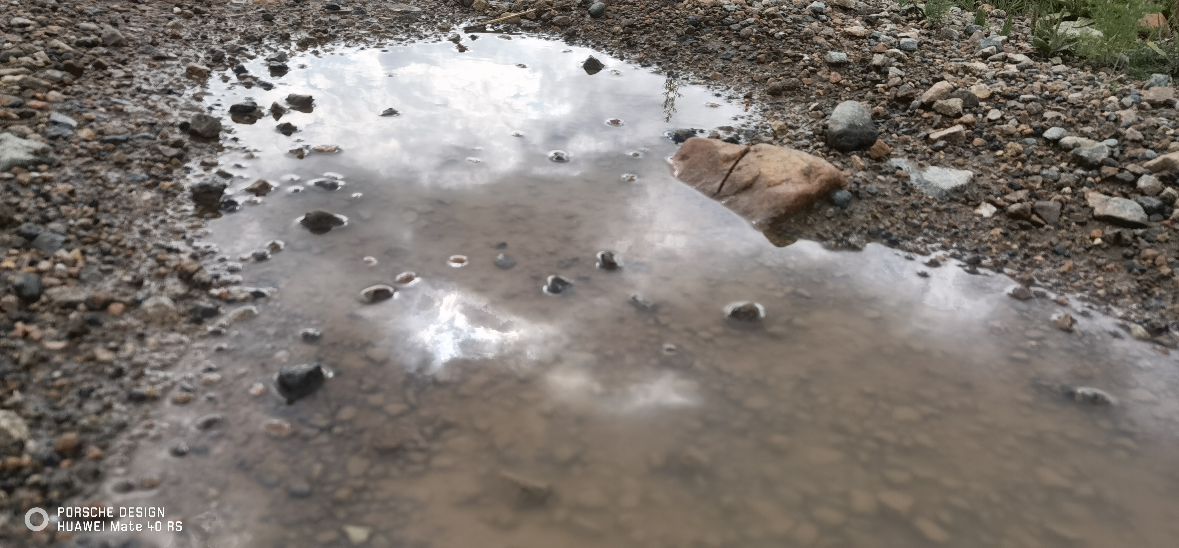 栾祥平出席活动,中医名家针灸治疗视频