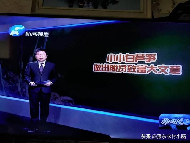 家乡开始大力推广被誉为蔬菜之王的白芦笋