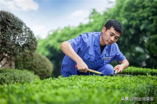 鐗╀笟鐜缁垮寲鍜屼繚娲佺鐞嗙殑鐥涚偣,鐗╀笟鐜娓呮磥娑堟潃宸℃