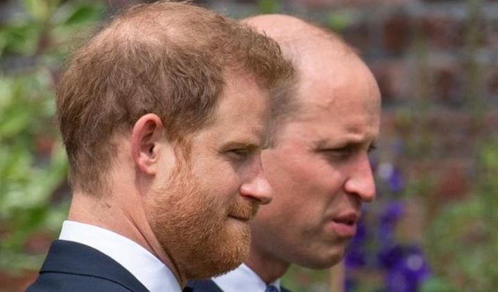 哈里退出王室对威廉有伤害吗,威廉和哈里为什么关系不和