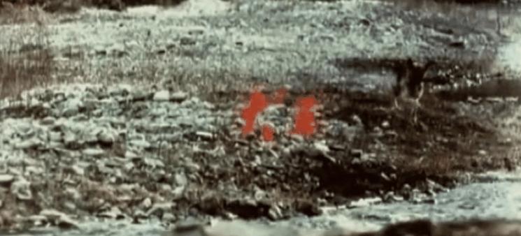 十年前被骂的电影有哪些,当年被人骂烂的电影