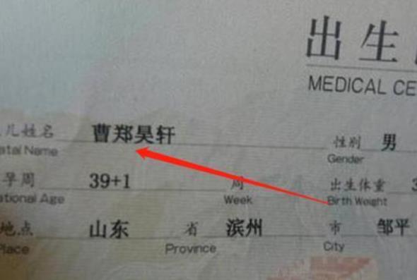 梓轩名字解释和寓意男孩,梓轩作为名字的含义