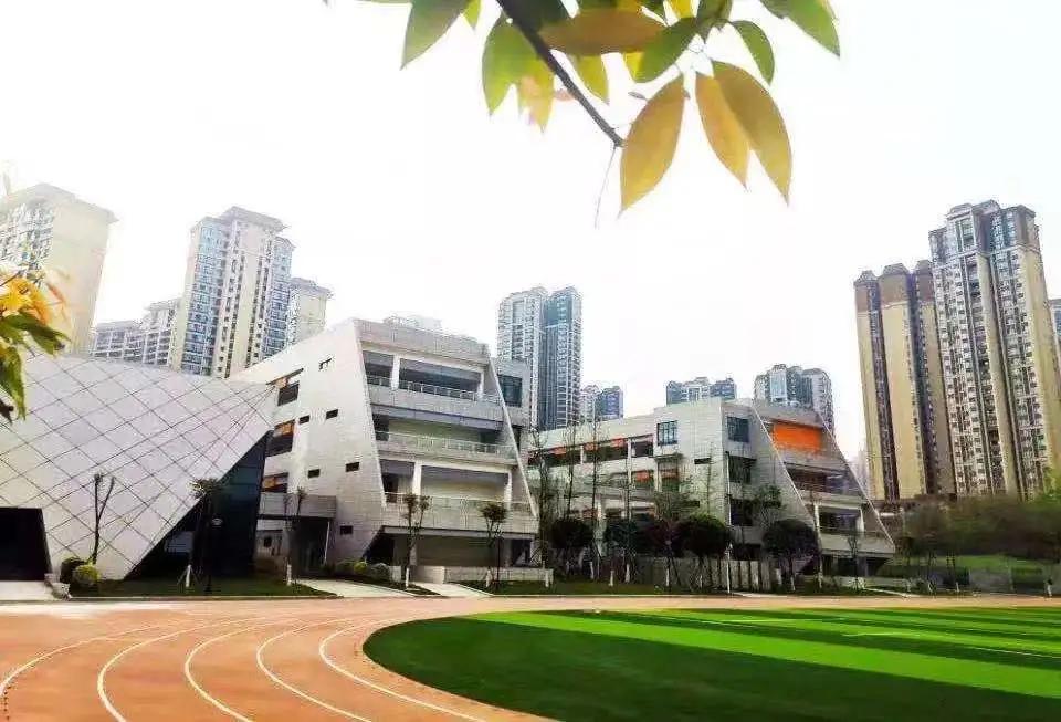 成华区新小学,成华区配套小学什么时候招生