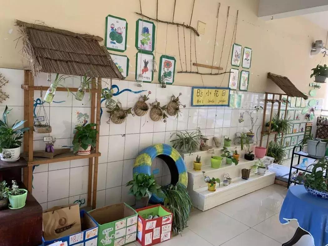 蒙氏教育幼儿园探园,参观蒙氏幼儿园的相关问题